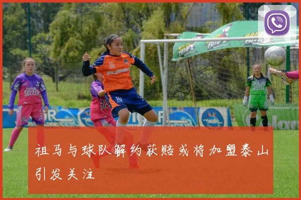 祖马与球队解约获赔或将加盟泰山引发关注