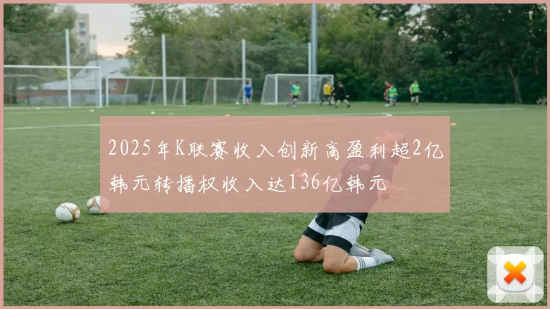2025年K联赛收入创新高盈利超2亿韩元转播权收入达136亿韩元