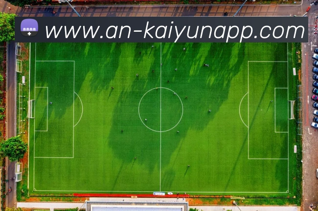 开云体育发展历程